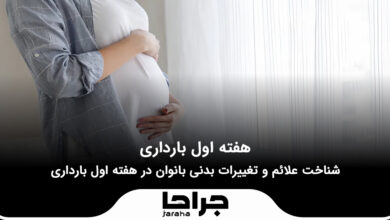 هفته اول بارداری