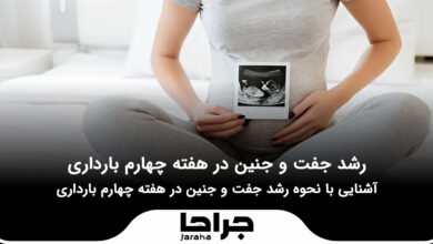 رشد جفت و جنین در هفته چهارم بارداری
