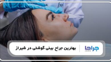 بهترین جراح بینی گوشتی در شیراز