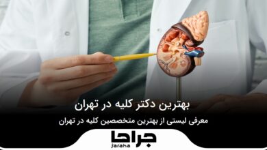 نکات قابل توجه در زمان انتخاب بهترین دکتر کلیه در تهران