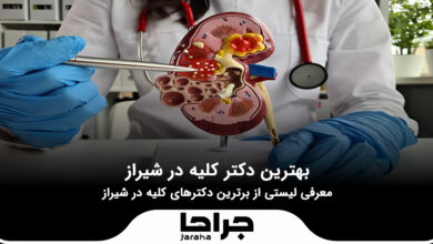 بهترین دکتر کلیه در شیراز