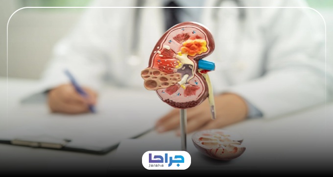 خدمات بهترین پزشکان نفرولوژی در تهران به بیماران