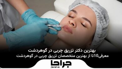 بهترین دکتر تزریق چربی در گوهردشت