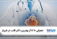 بهترین دکتر قلب در شیراز