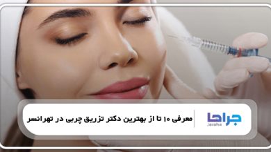 معرفی 10 تا از بهترین دکتر تزریق چربی در تهرانسر